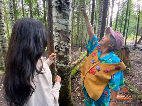  SIGNATURE COLLECTION Talking Trees - Indigenous Nature Walking Tour - GROUPS 